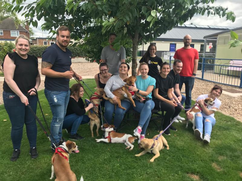 Volunteers walking dogs at Radcliffe Animal Centre